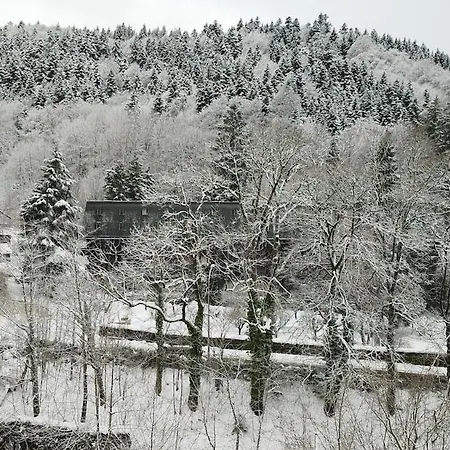 Les Iris